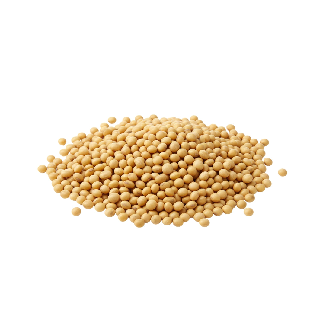 Semillas Soya Grano Kg (45)