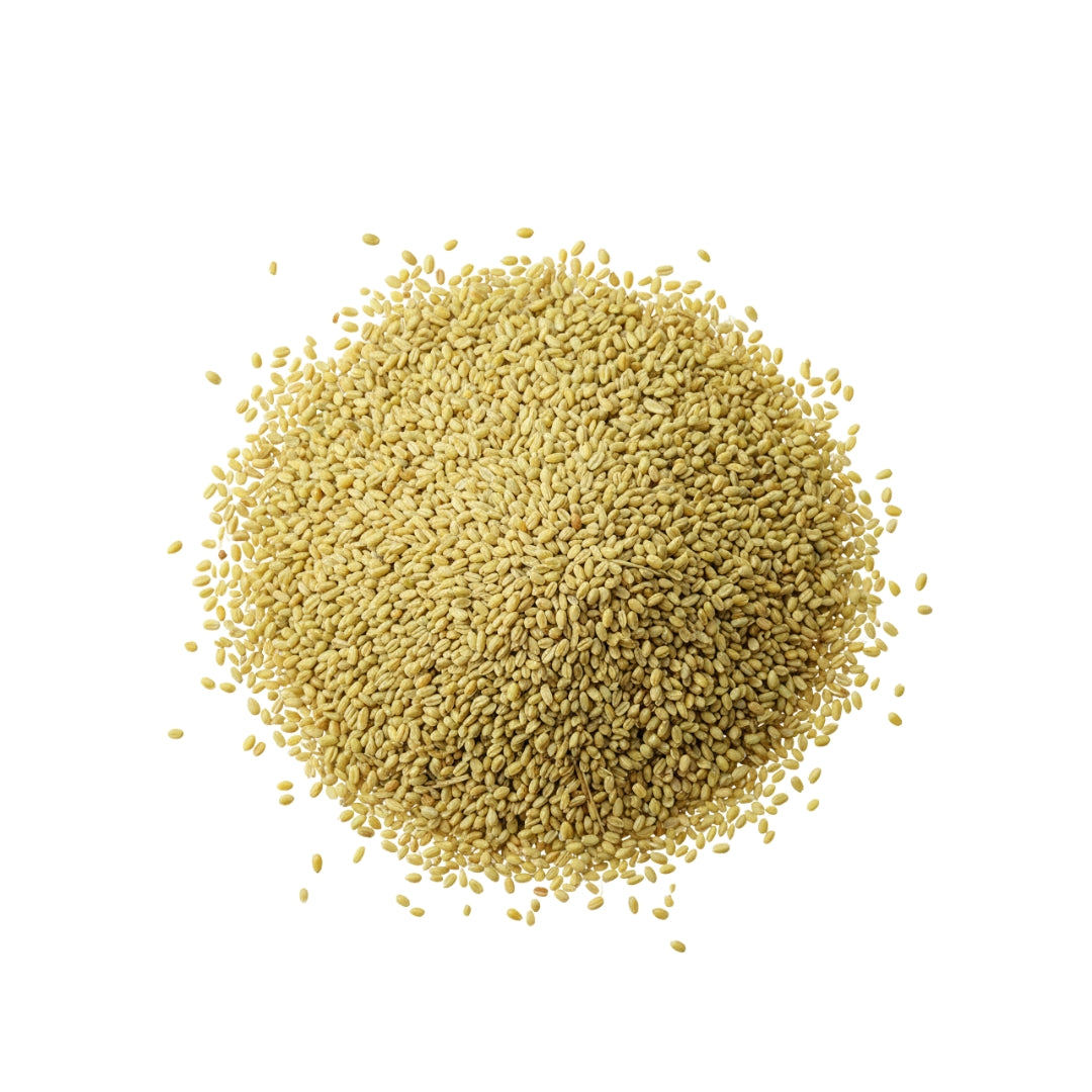 Alimento Pajaros Alpiste Natural Kg