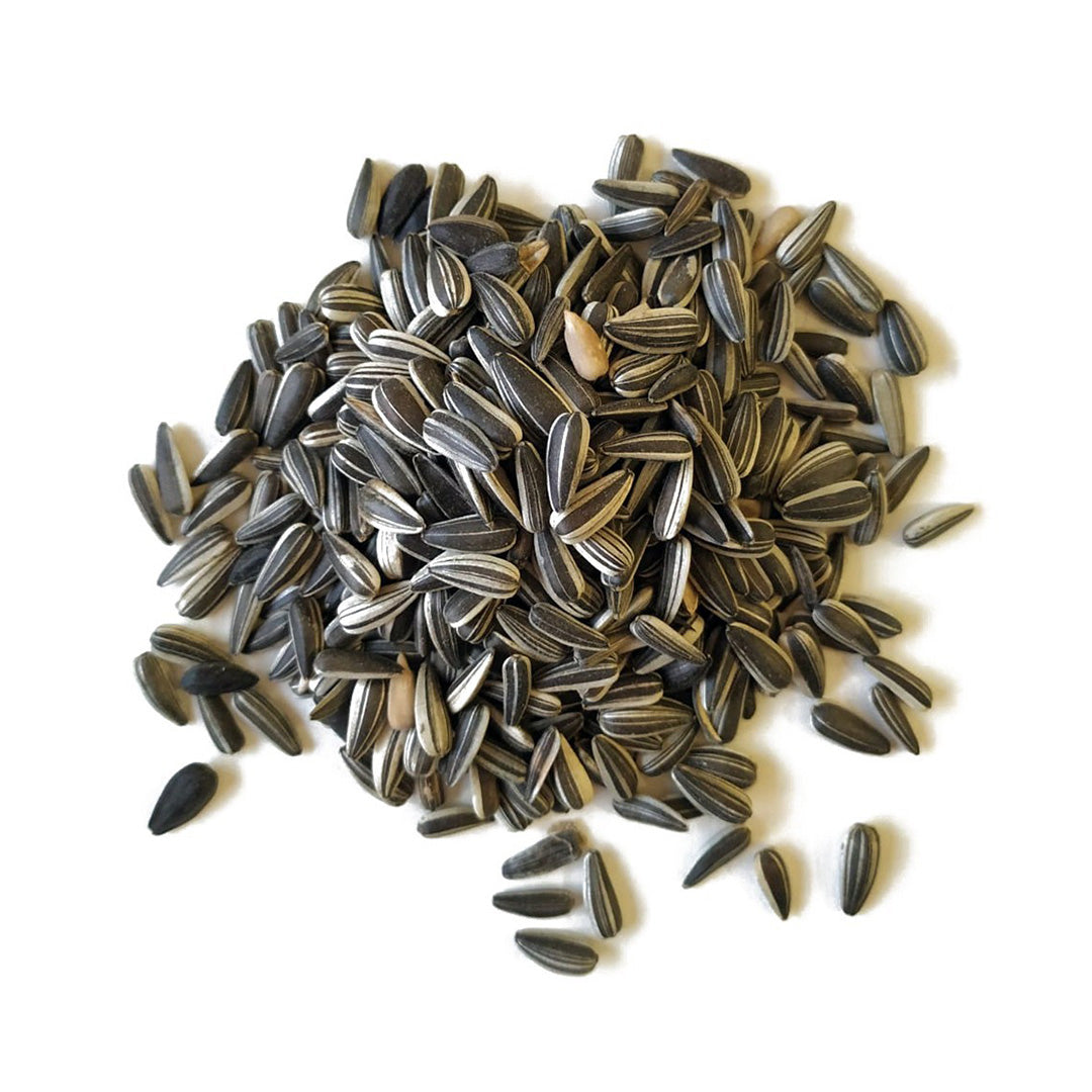 Alimento Pajaros Semilla De Girasol Grande Kg