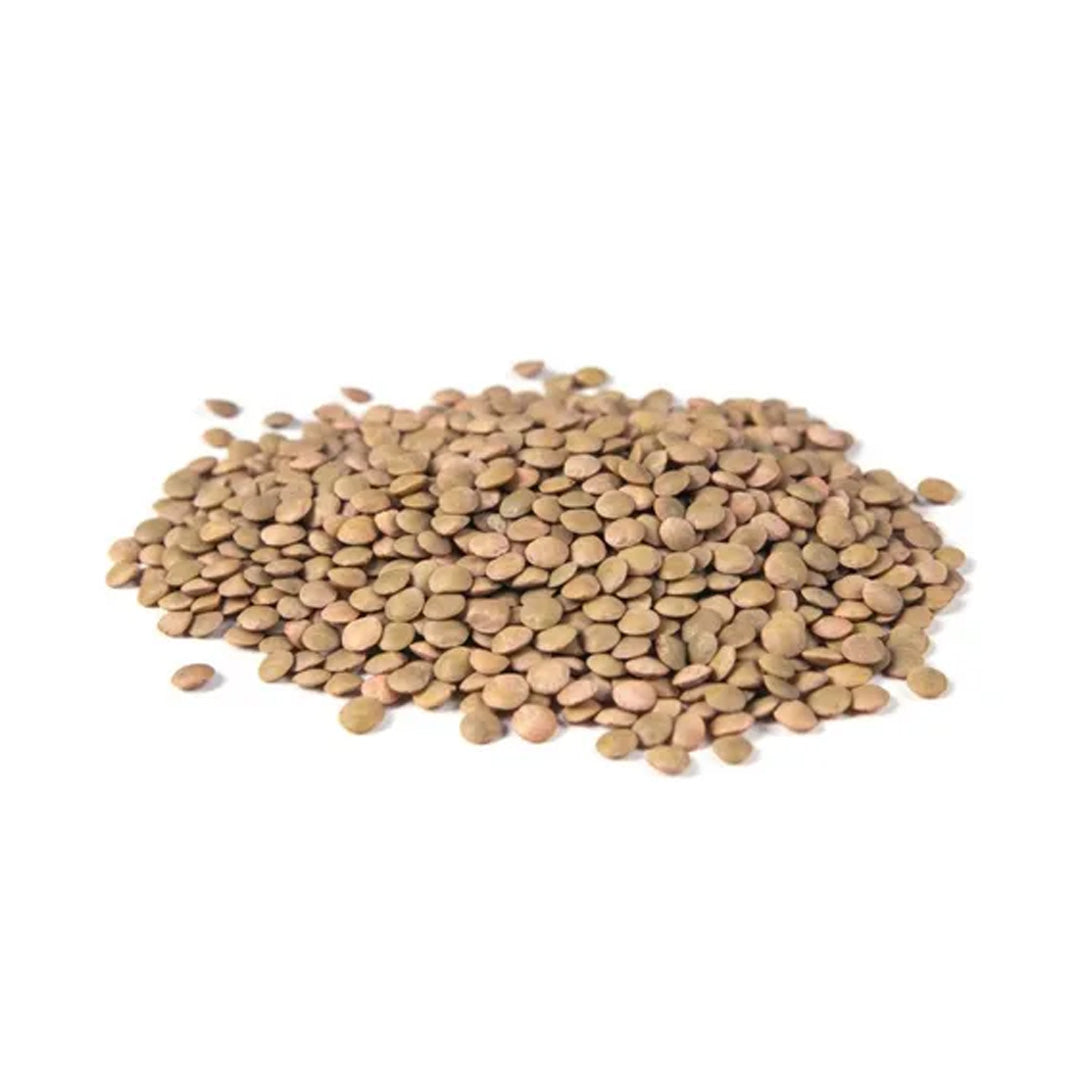 Semillas Lenteja Grande Kg