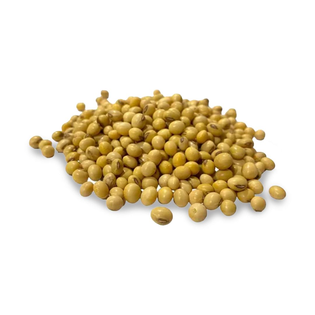 Semillas Soya Kg