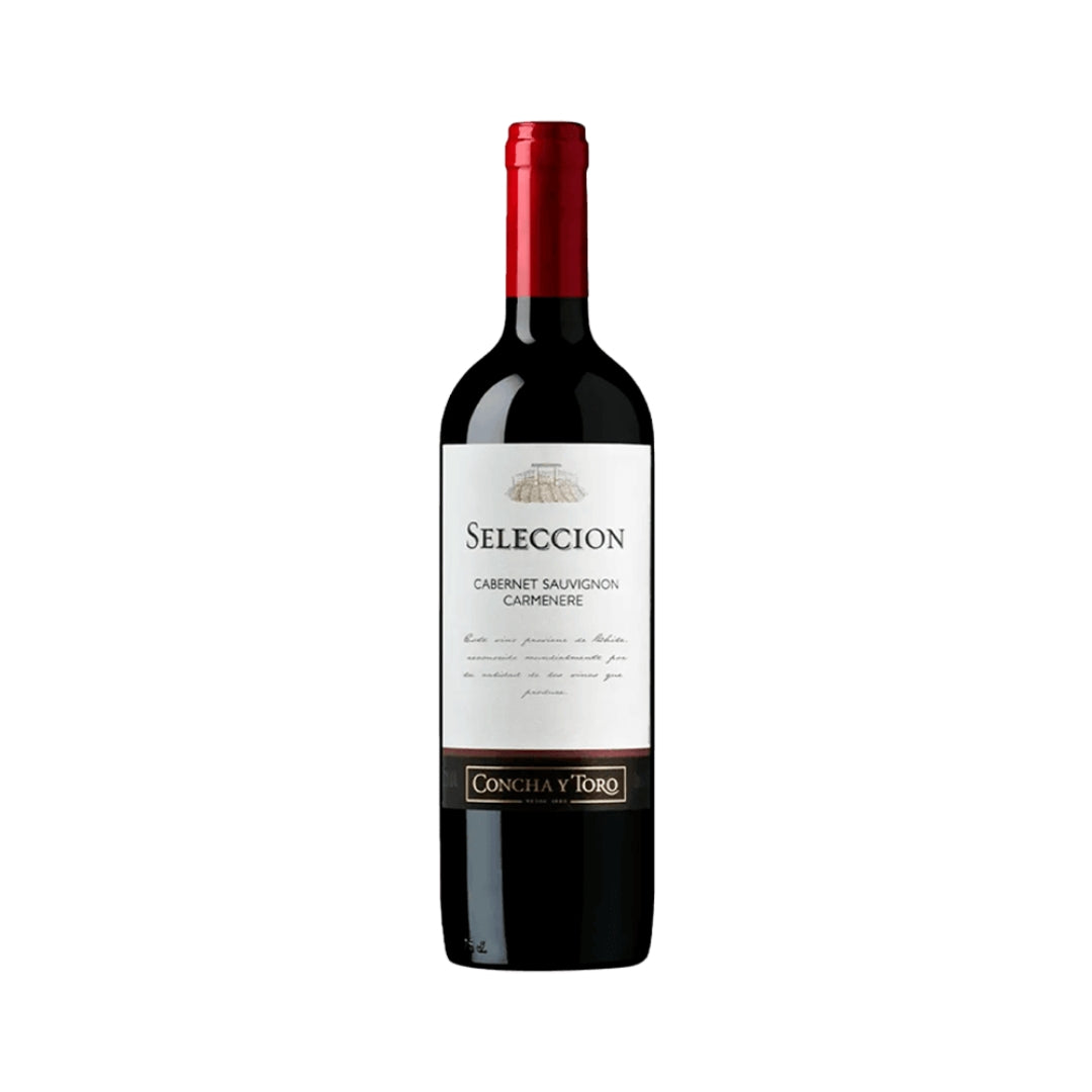 Vino Tinto Seleccion Cabernet Seavigong Seco 750 Ml