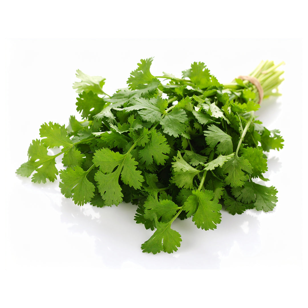 Verduras Cilantro Manojo Pz
