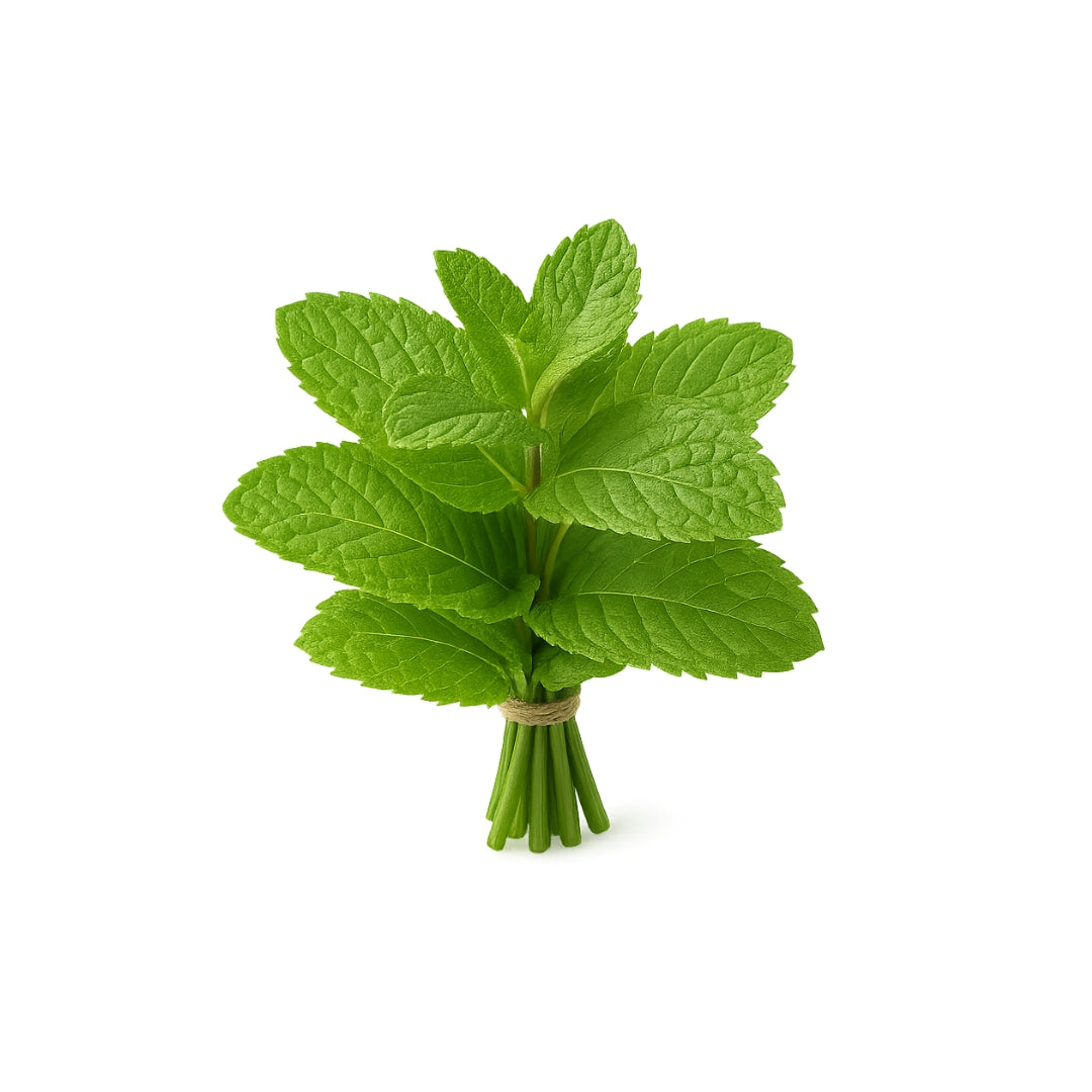 Verduras Yerbabuena Manojo Oferta Pz
