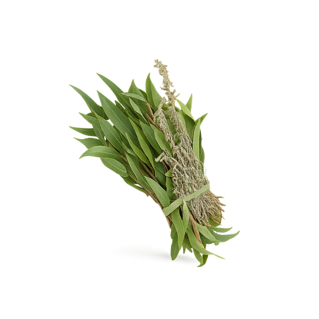 Verduras Hierbas De Olor Oferta Pz