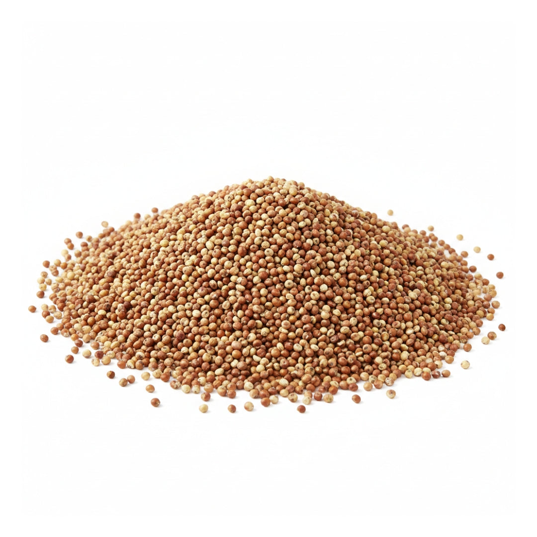 Semillas Sorgo Kg.(25)