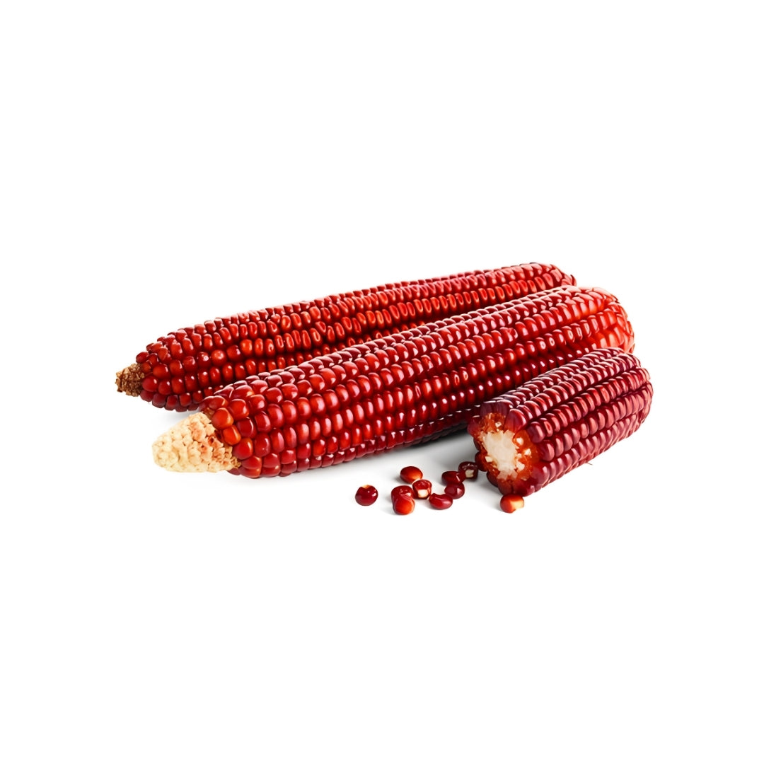 Verduras Elote Rojo Pz
