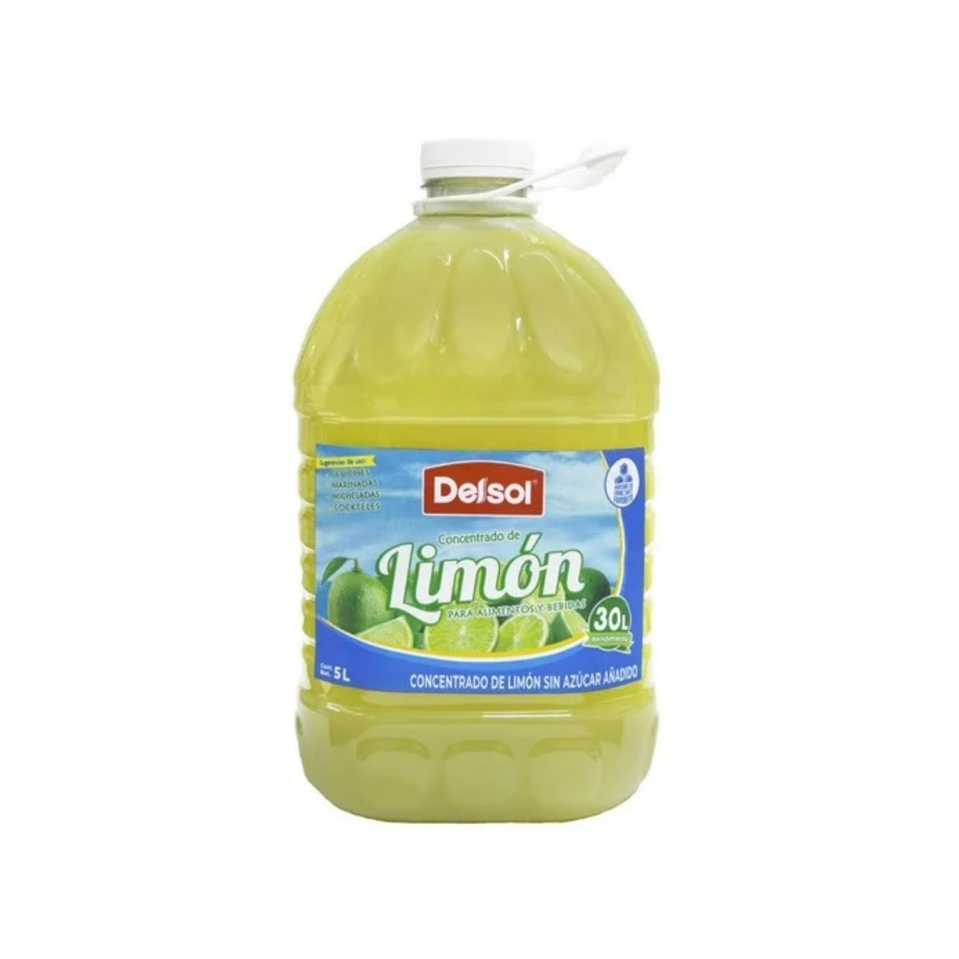 Jarabe Delsol Limon 5 Lt (1)