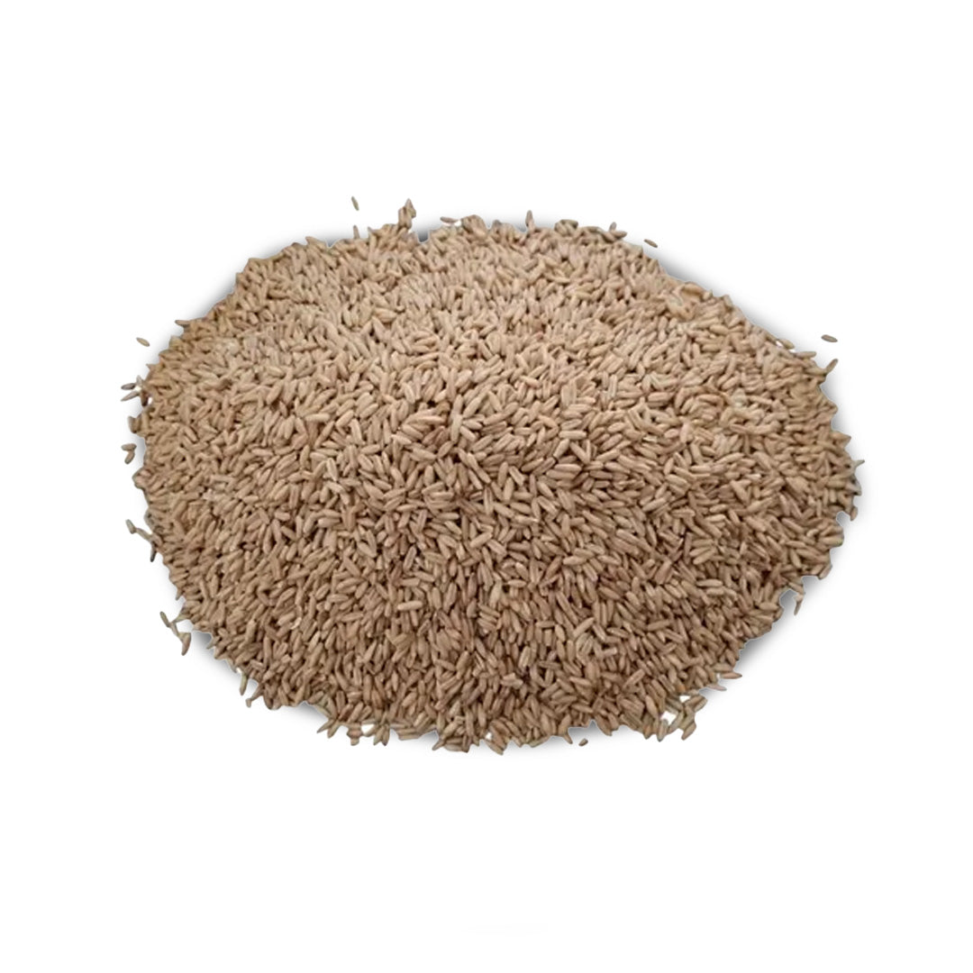 Alimento Pajaros Avena Para Pajaro Kg