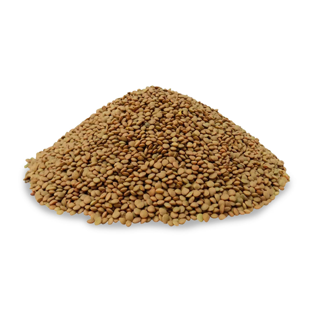 Semillas Lenteja Chica Kg