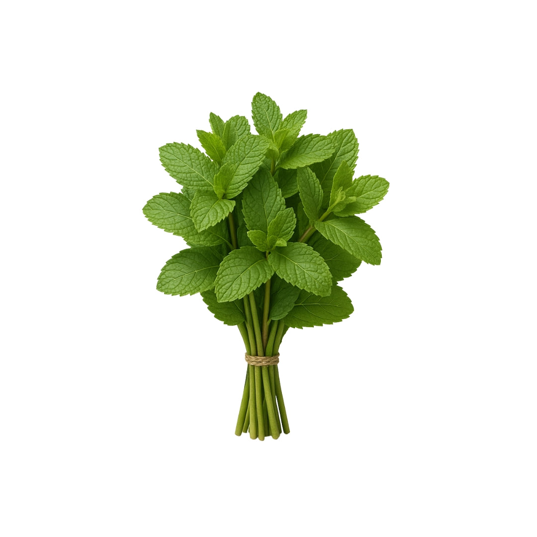 Verduras Yerbabuena Manojo Pz