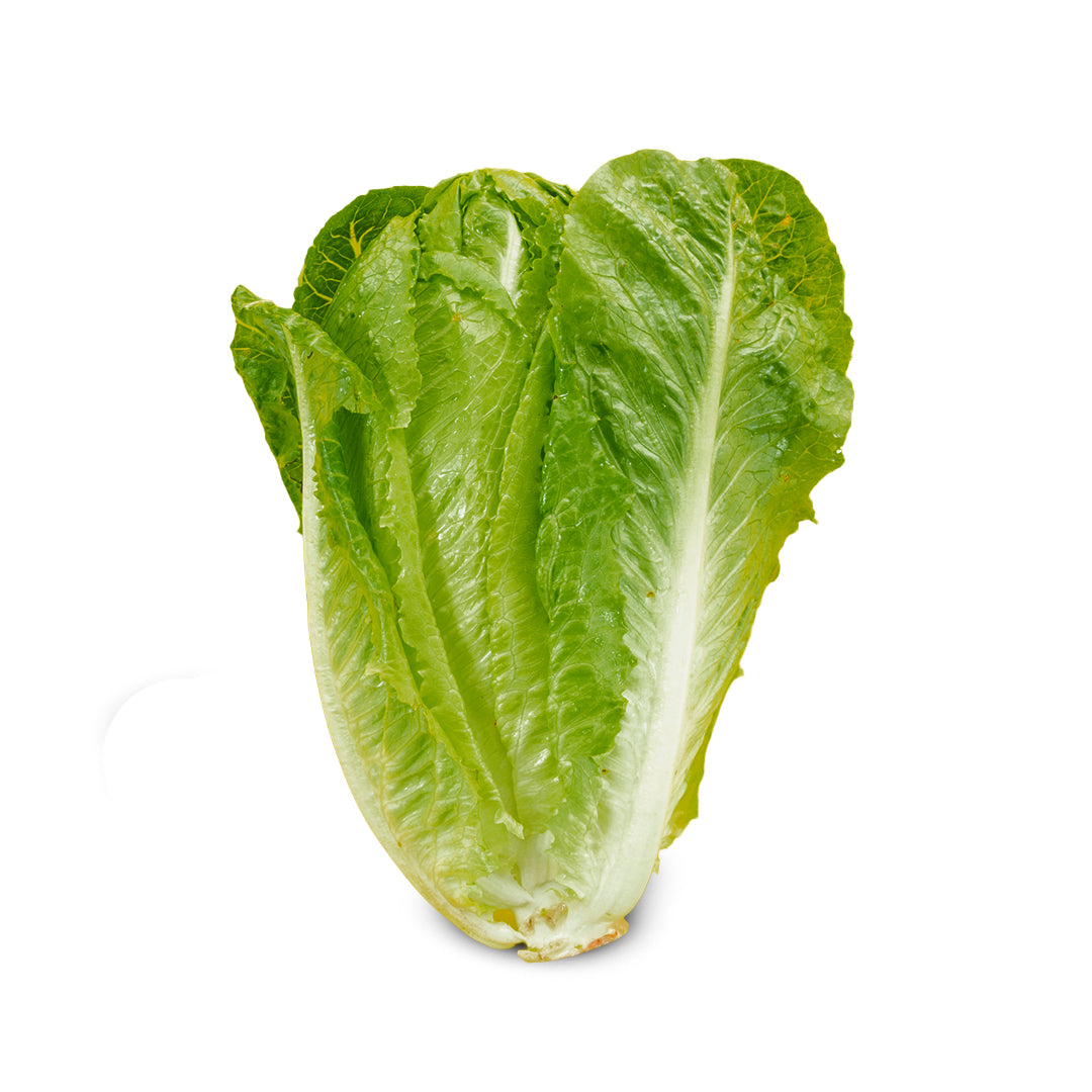 Verduras Lechuga Orejona Pz.