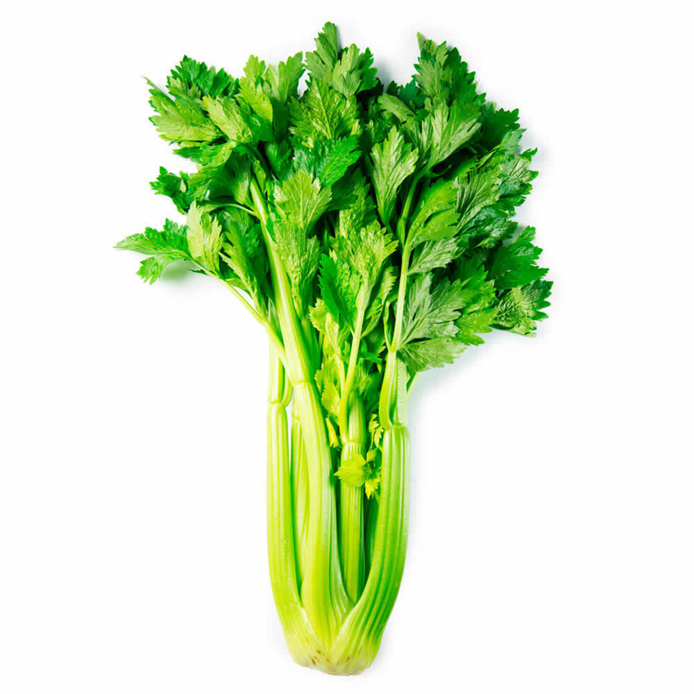 Verduras Apio  Pz