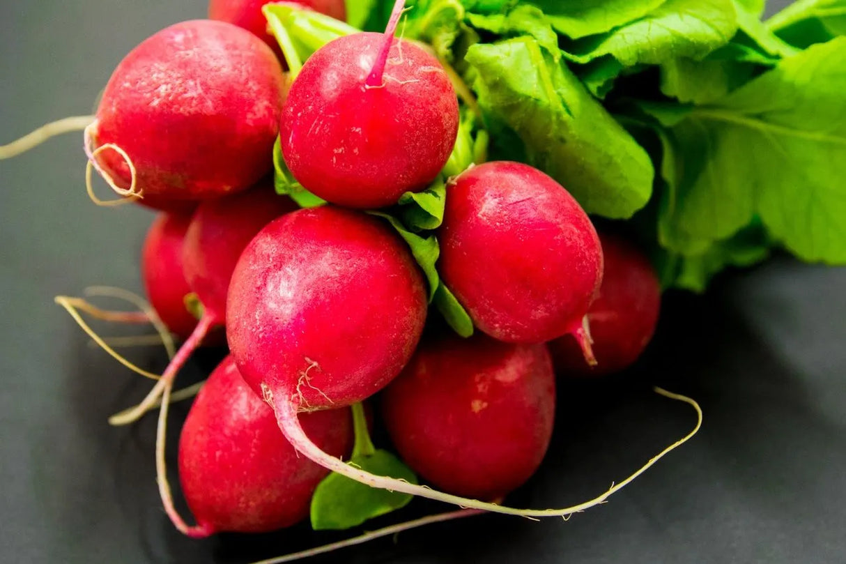 Verduras Rabanos Manojo Pz.